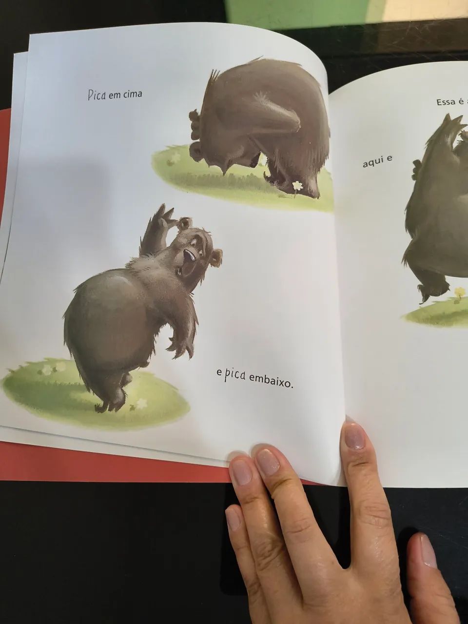 Livro O urso pulguento - Foto 3