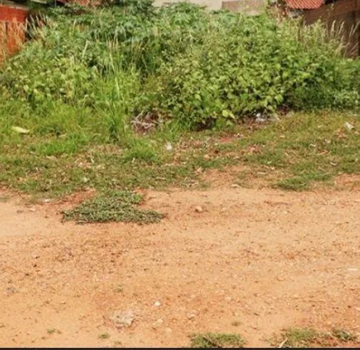 Foto - Luziânia - Chácaras Marajoara