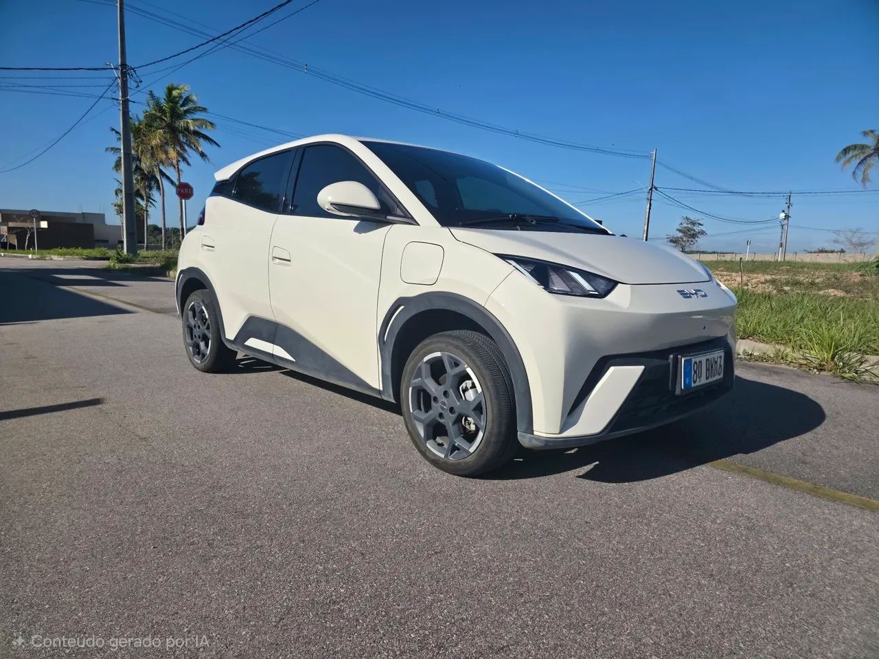BYD Dolphin Mini (Elétrico) 2027 - Foto 2