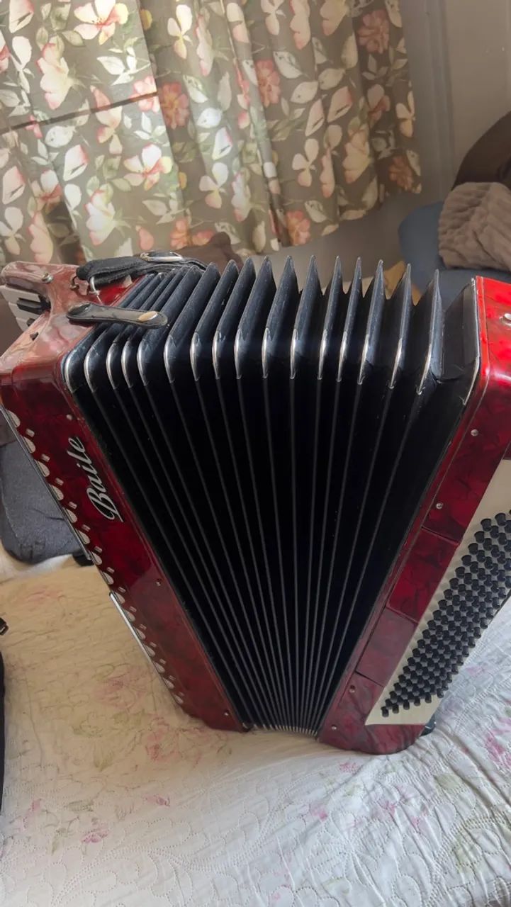 Acordeon terça e quinta de voz. - Foto 3