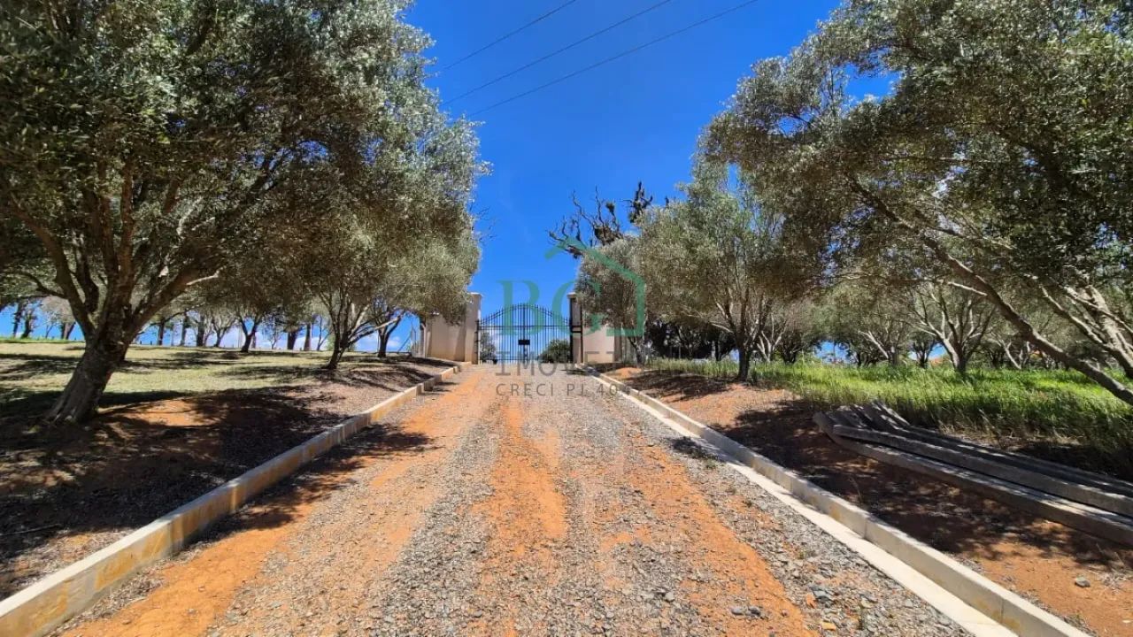 Excelente sítio á venda entre Poços de Caldas e Divinolândia. - Foto 3