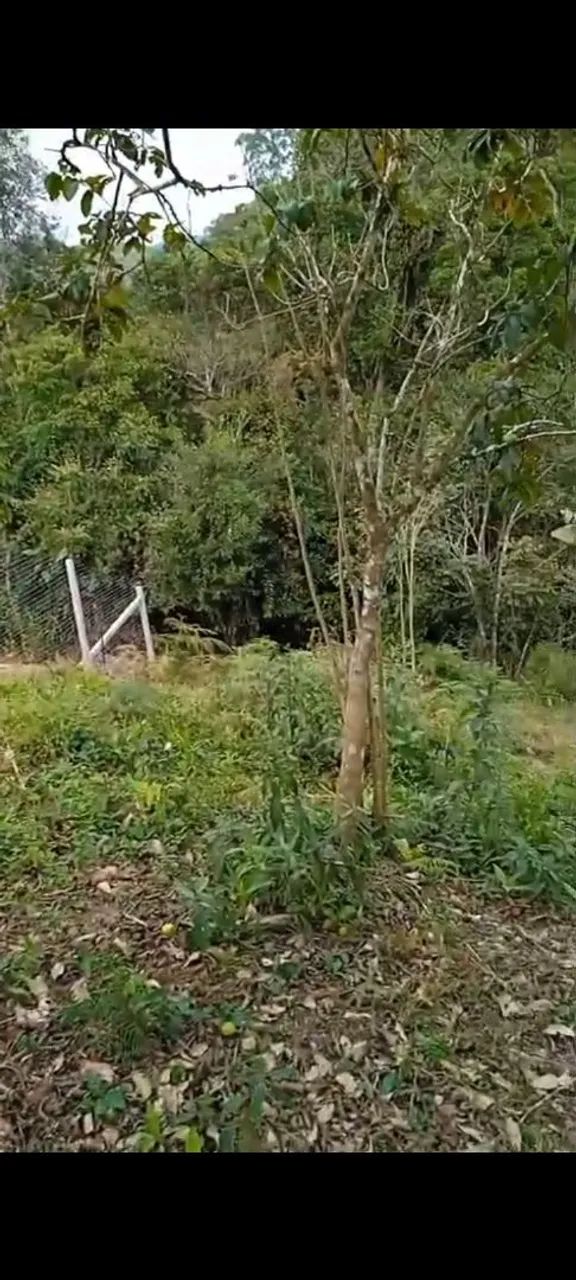 Vendo sitio em Ascurra  - Foto 5