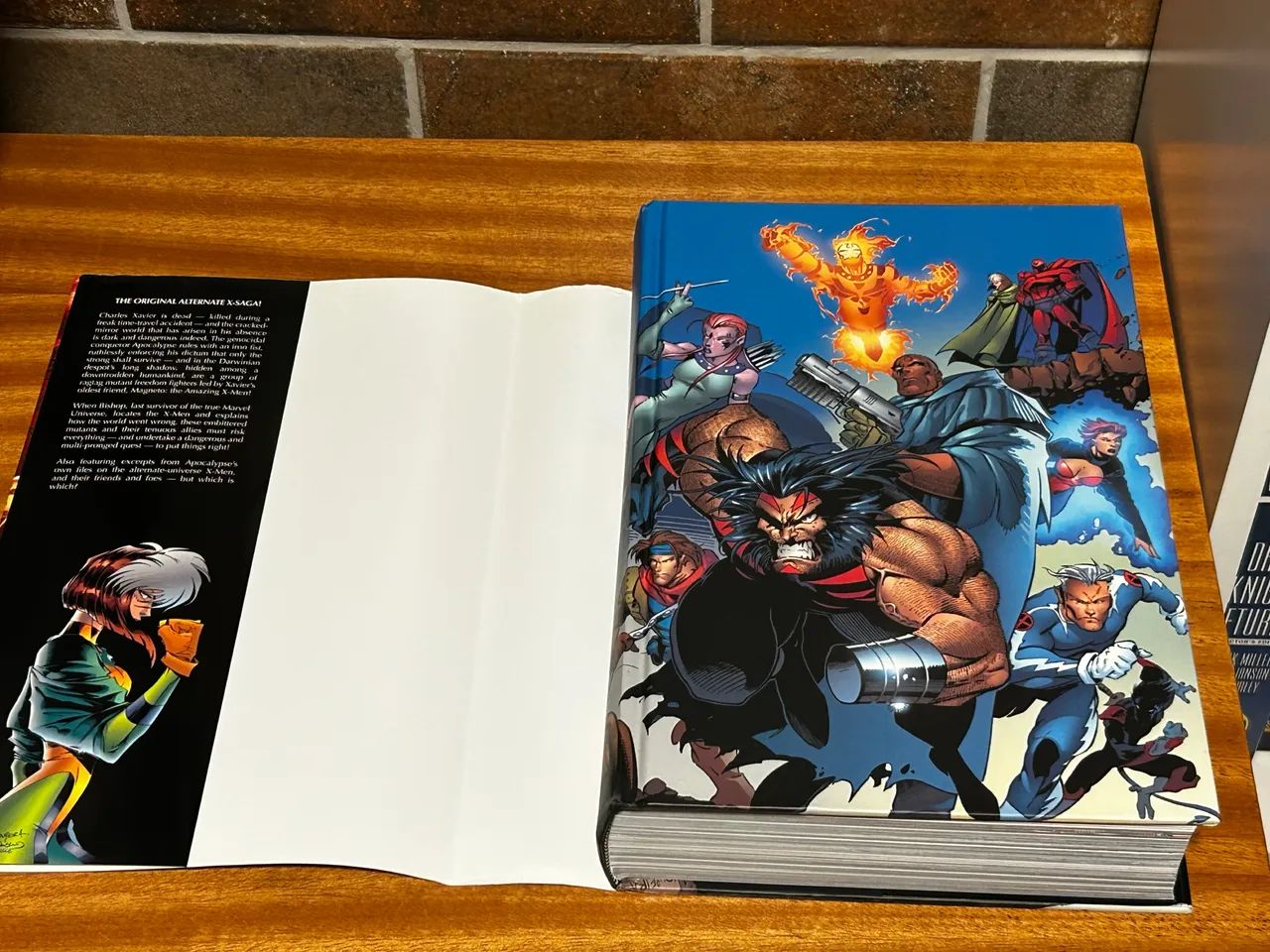 アメコミ10冊セット X-Men: A Era do Apocalipse Omnibus (1072 páginas) - Livros e