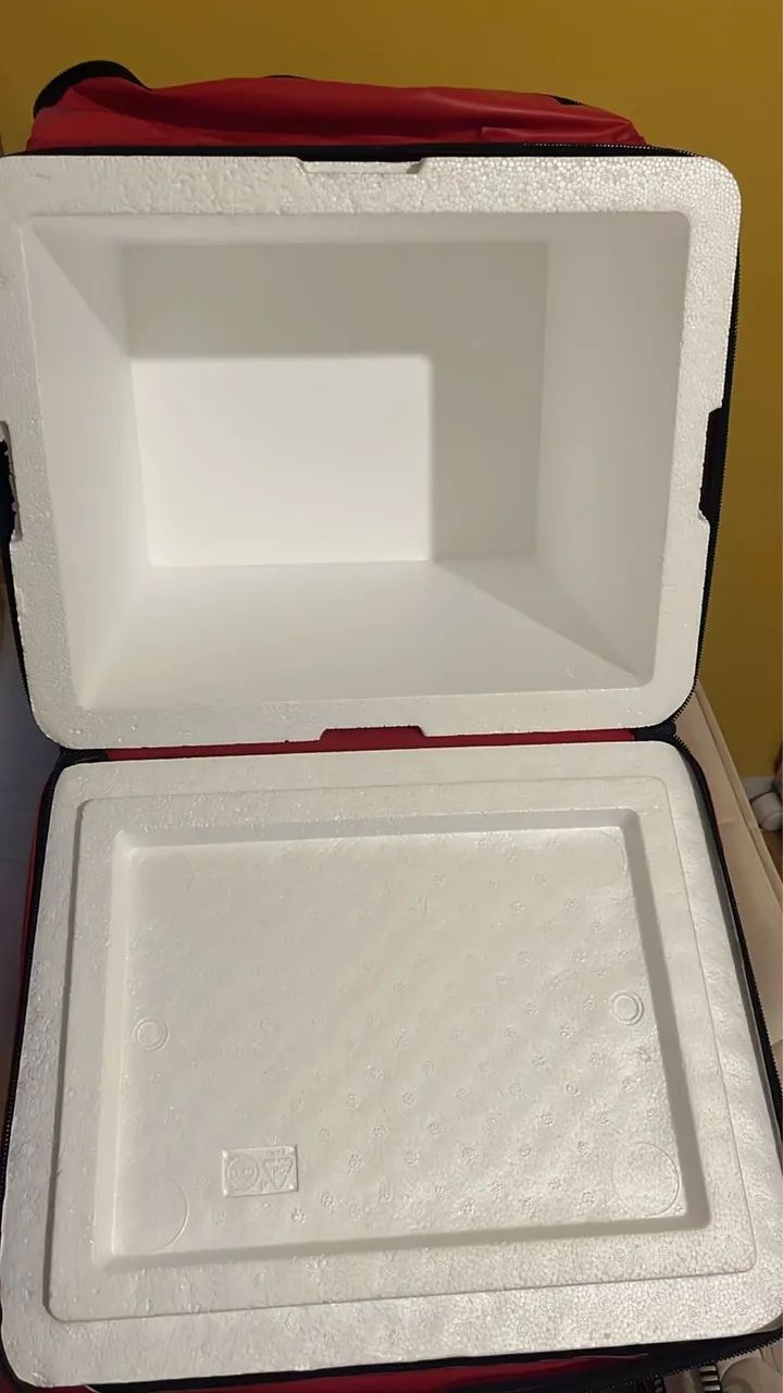 BAG ENTREGADOR  - Foto 2