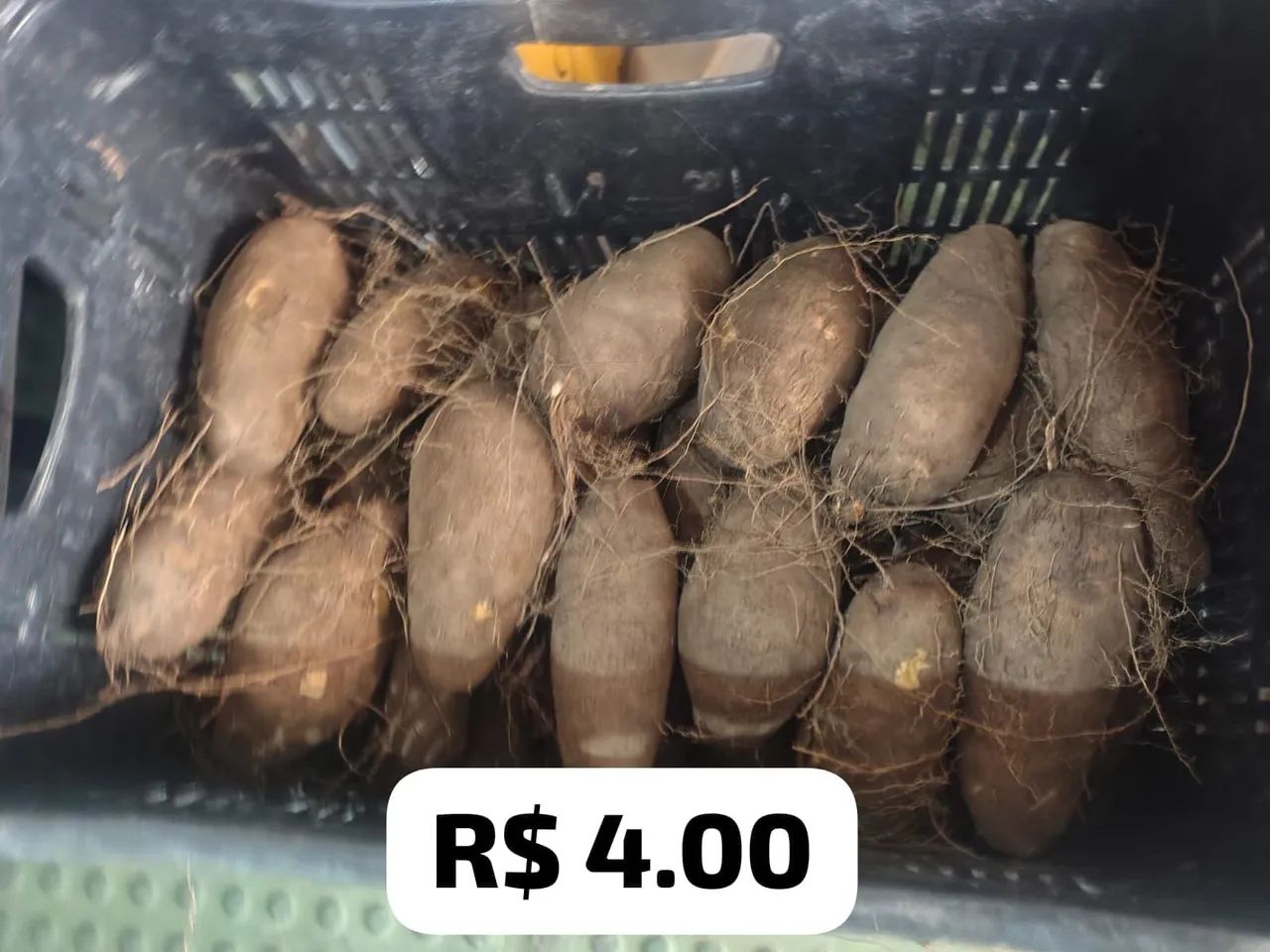 CARÁ DA PARAÍBA  - Foto 2