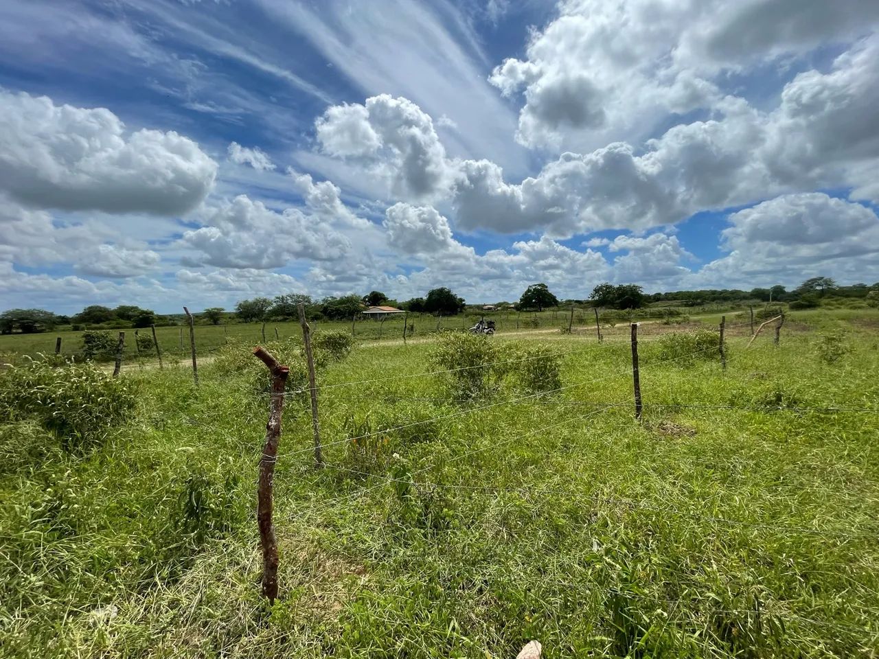 Chão no nova glória  - Foto 3