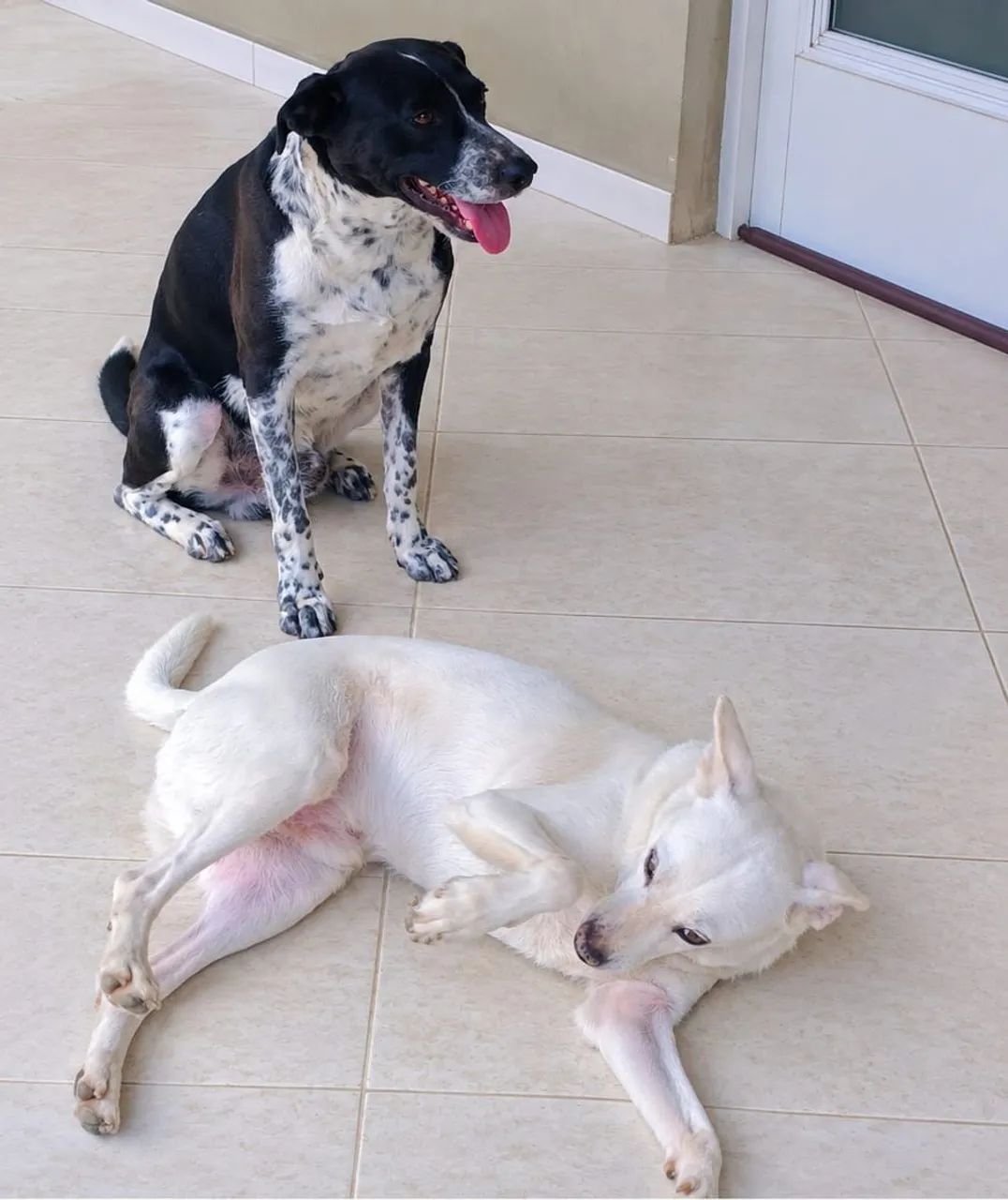 Doação  - Foto 2