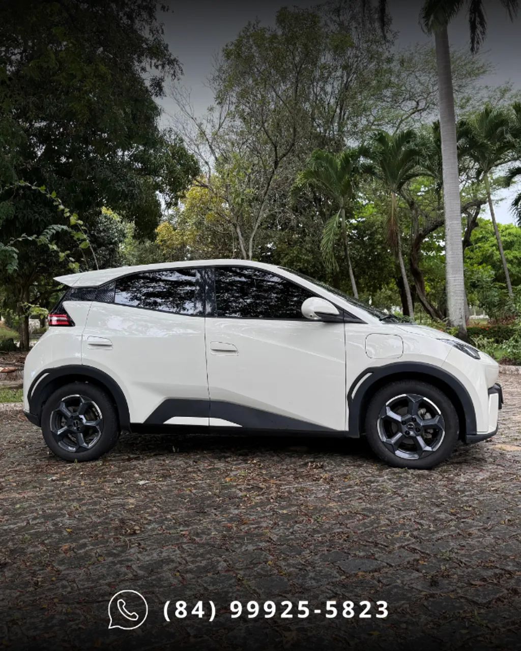 BYD Dolphin Mini (Elétrico) 2025 - Foto 2