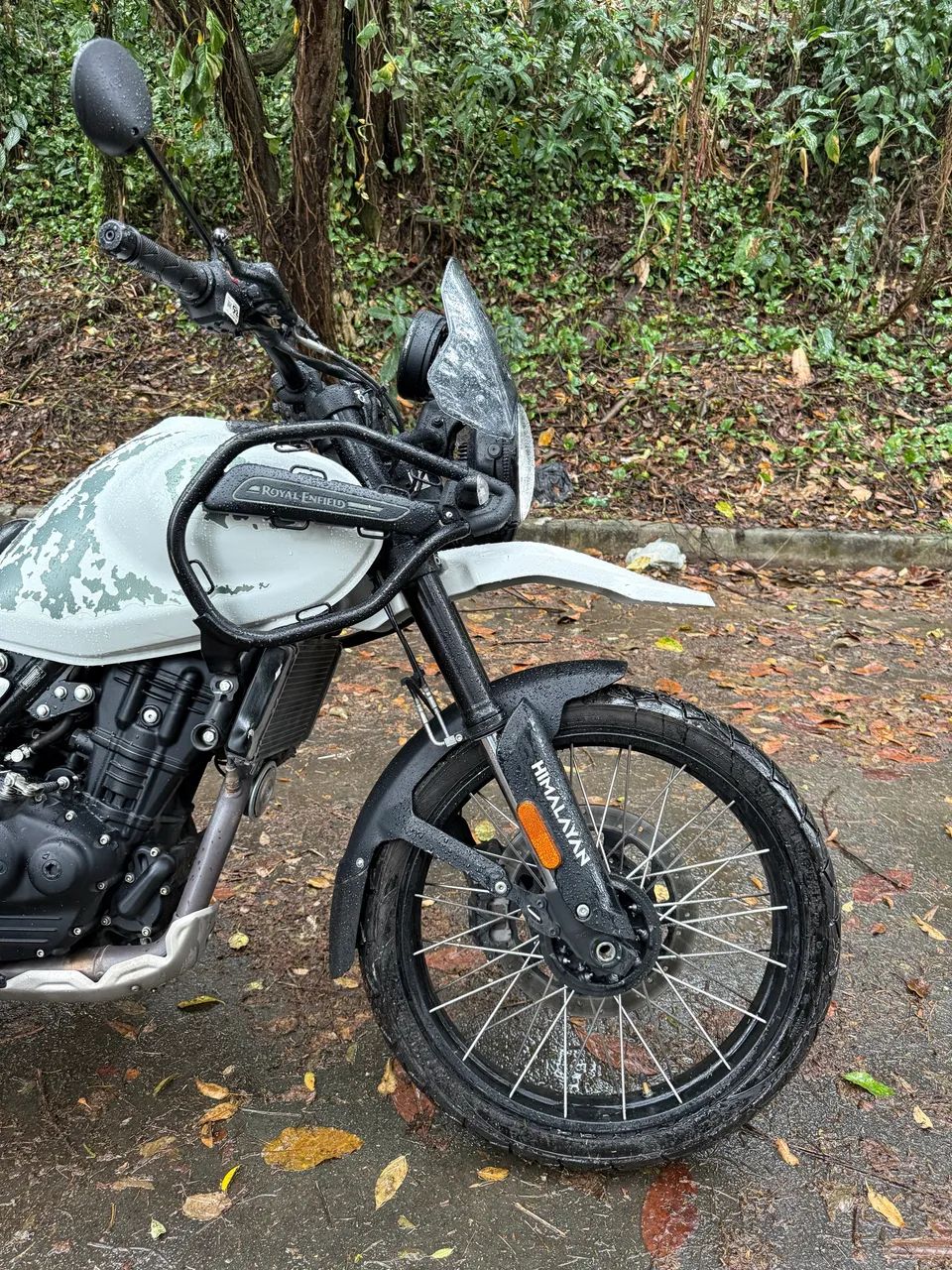 Himalayan 450  - Foto 2