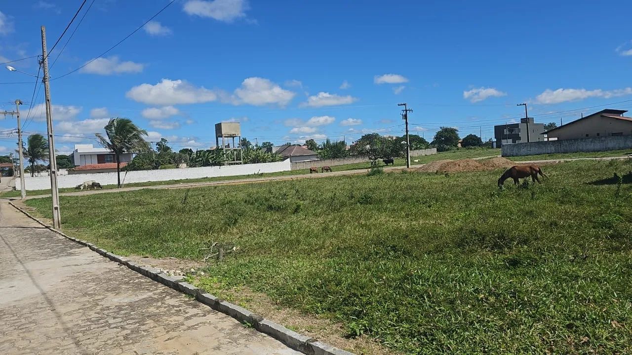 Vendo Terreno em Bananeiras 