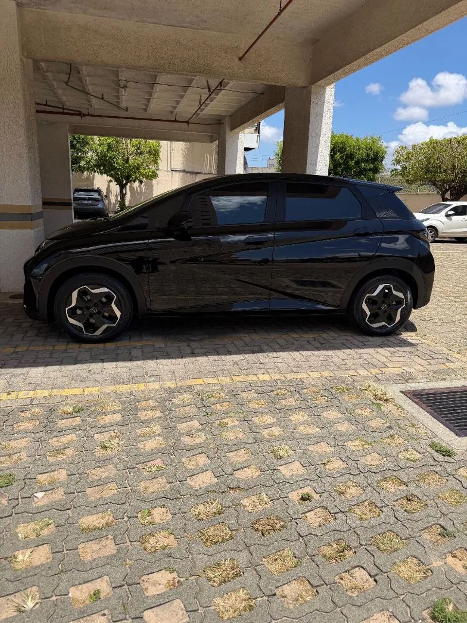 BYD Dolphin EV (Elétrico) 2024 - Foto 3