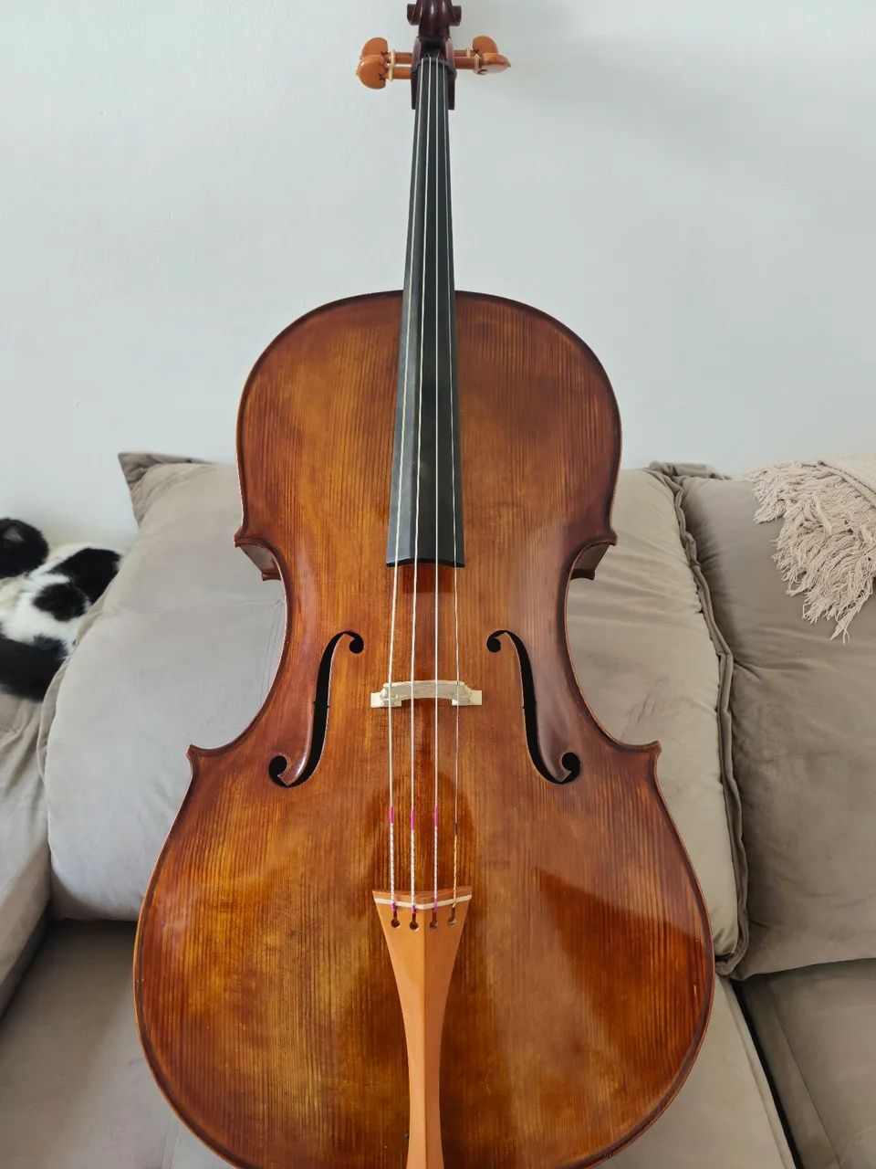 Violoncelo de autor