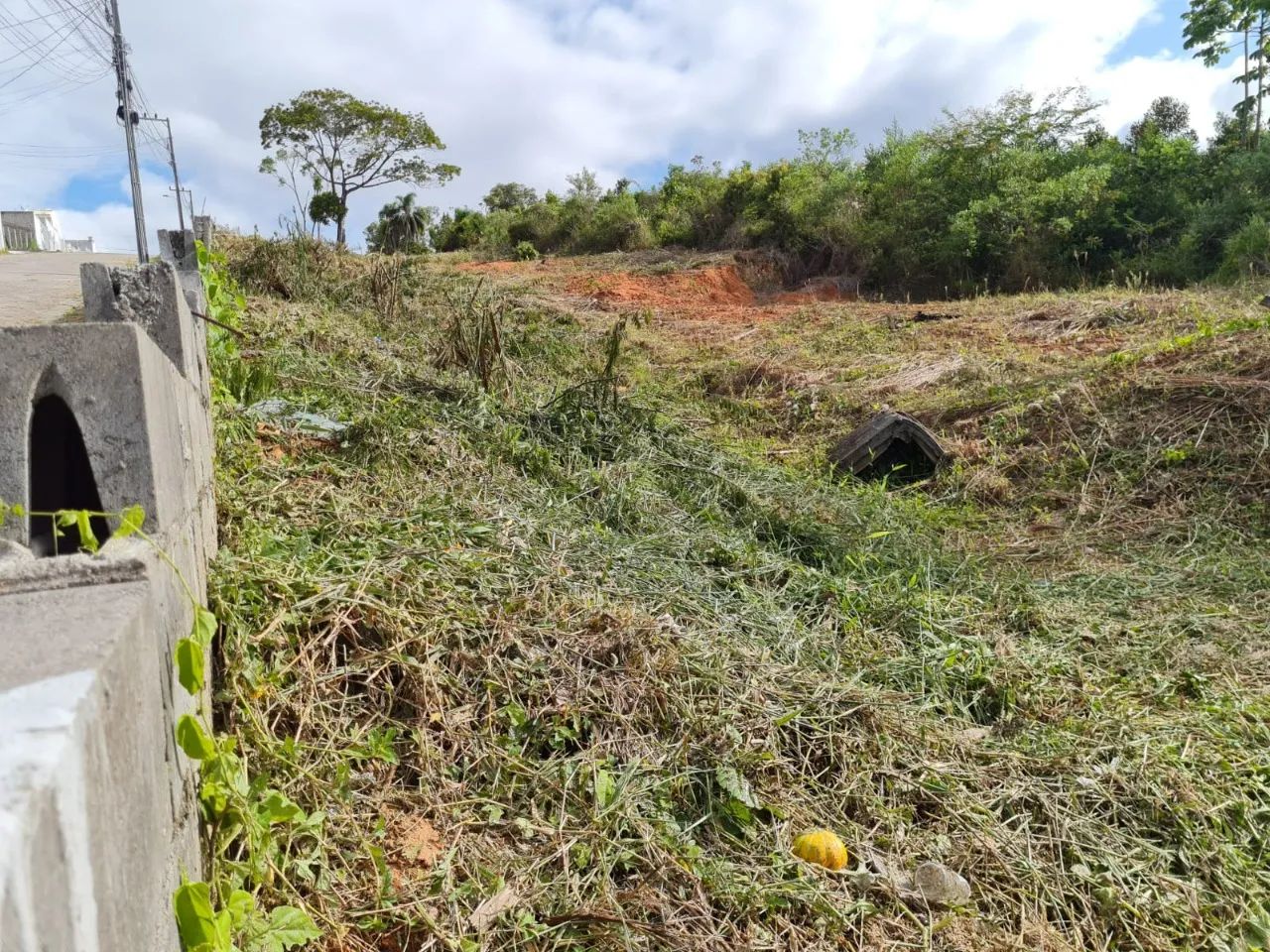 Terreno | Venda | Forquilhas - Foto 4