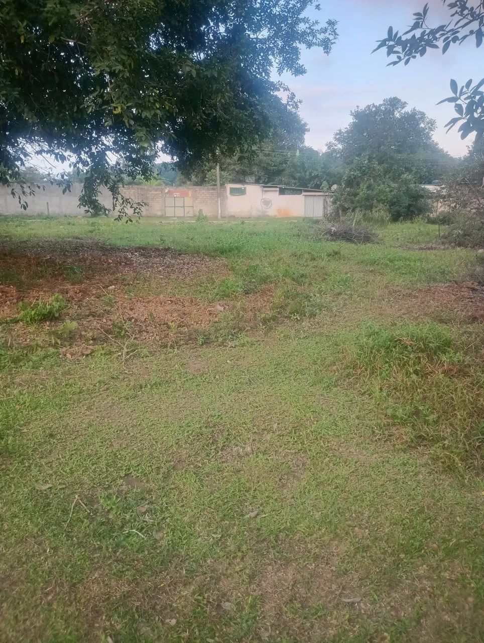Terreno - Foto 3