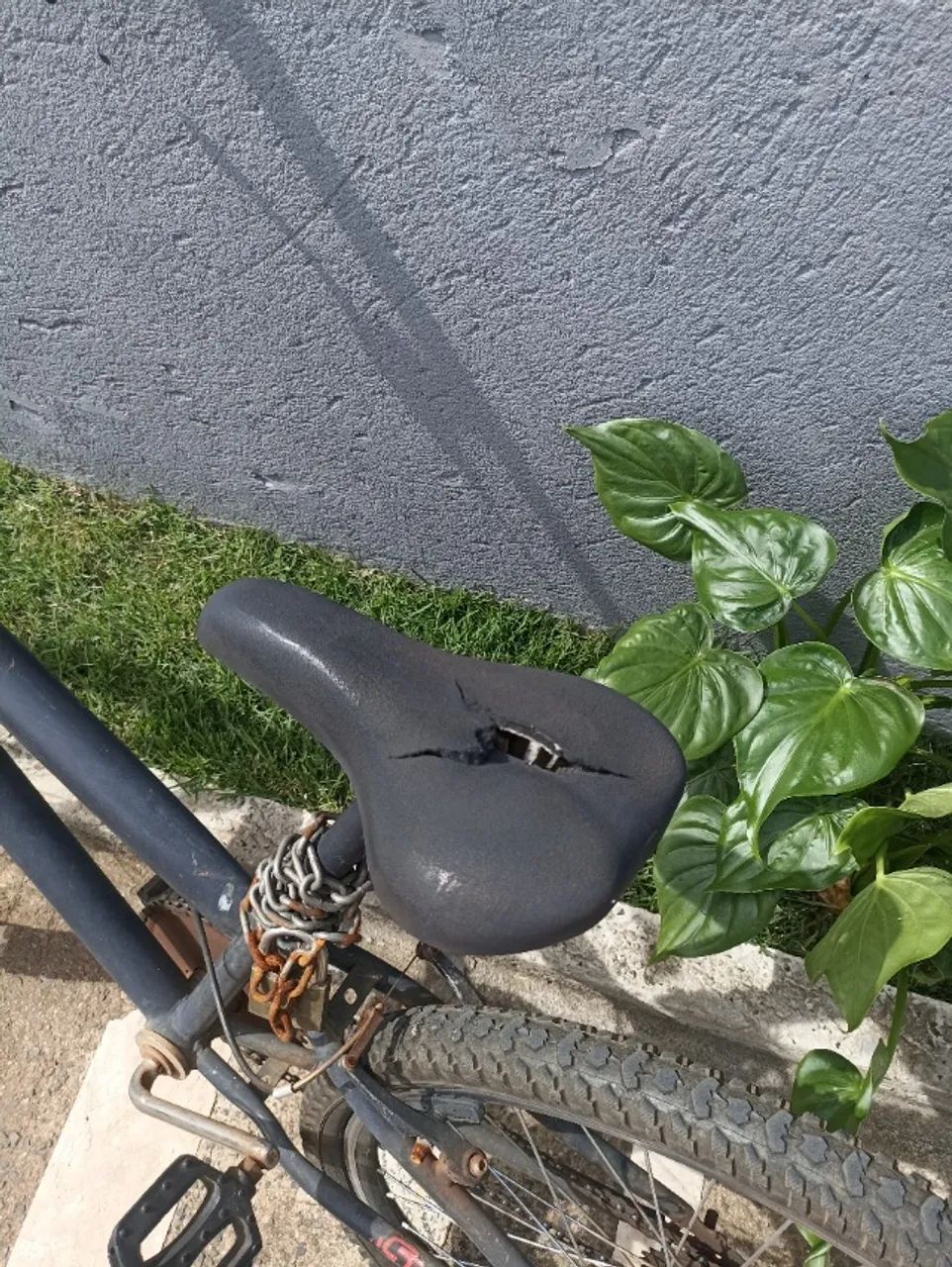 Bicicleta  - Foto 2