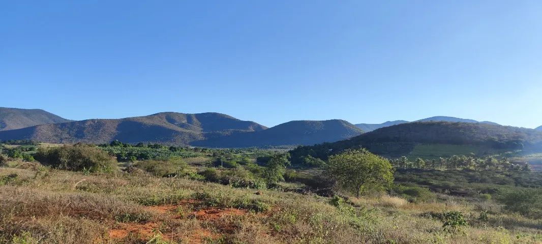 Terreno Chácara com 1.000m2 próximo ao centro de Jequié/BA - Foto 5
