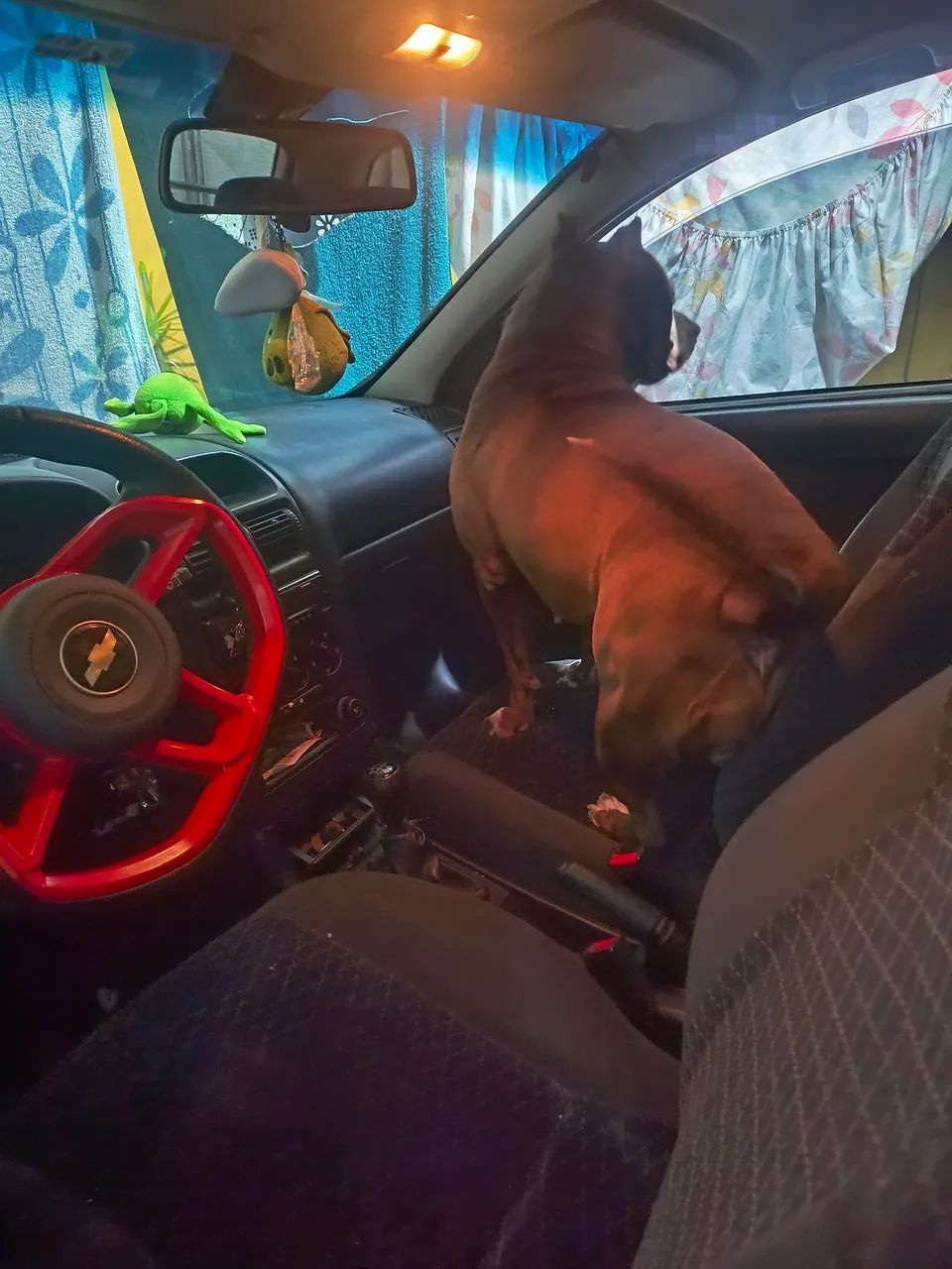 Astra 2000  - Foto 4