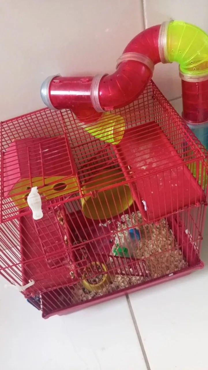 Casinha de hamster - Foto 2
