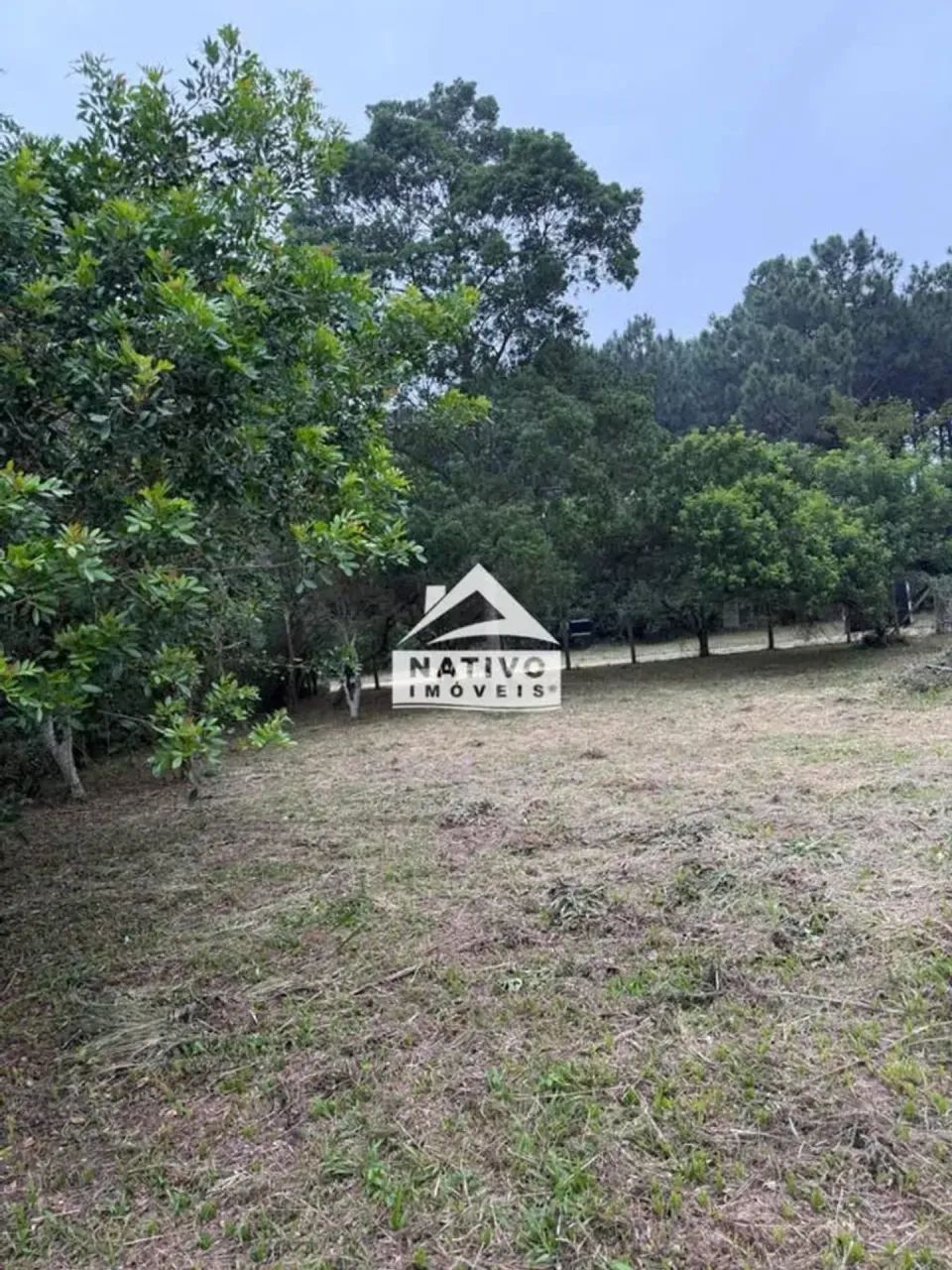 Terreno com 1.000 m² no Rio Vermelho Florianópolis - Foto 3
