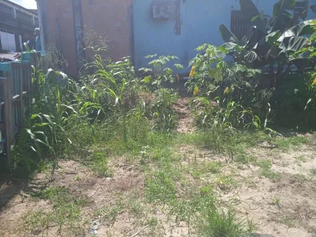 Terreno bairro Novo Aleixo - Foto 3