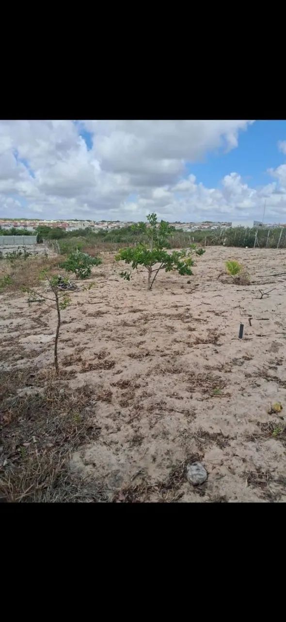 Terreno 30x30 - Foto 5