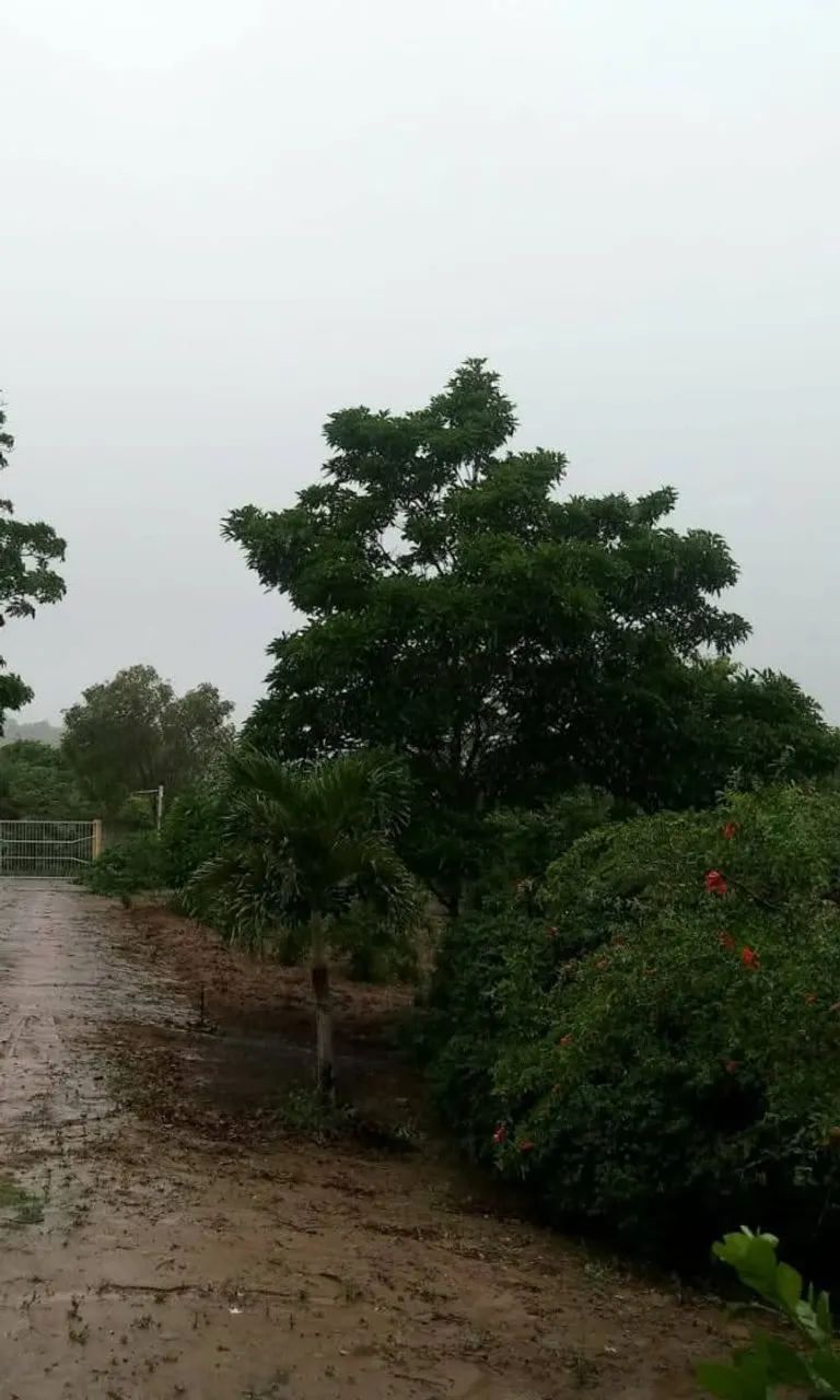 Linda chácara  - Foto 2