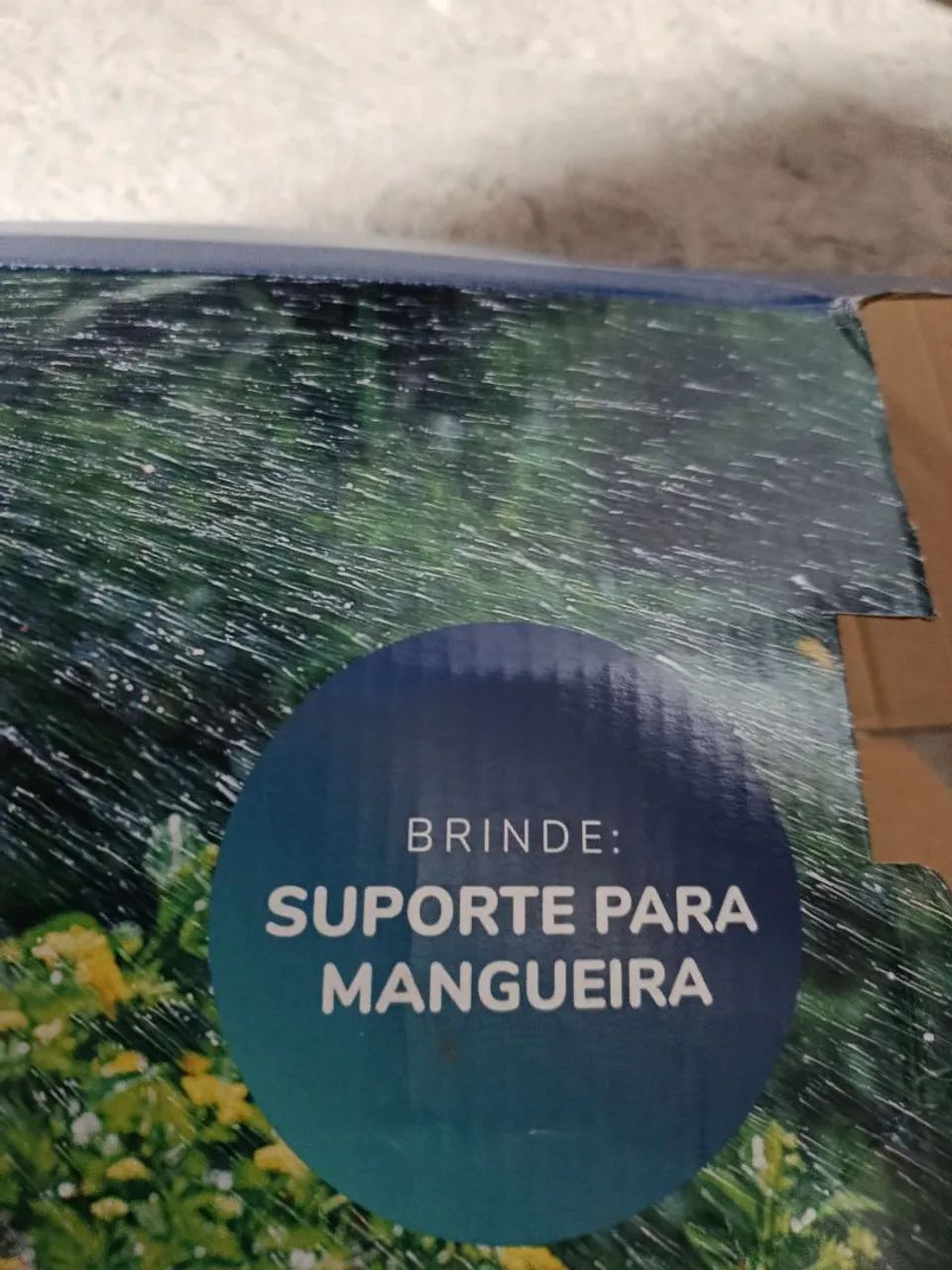 Mangueira  - Foto 2