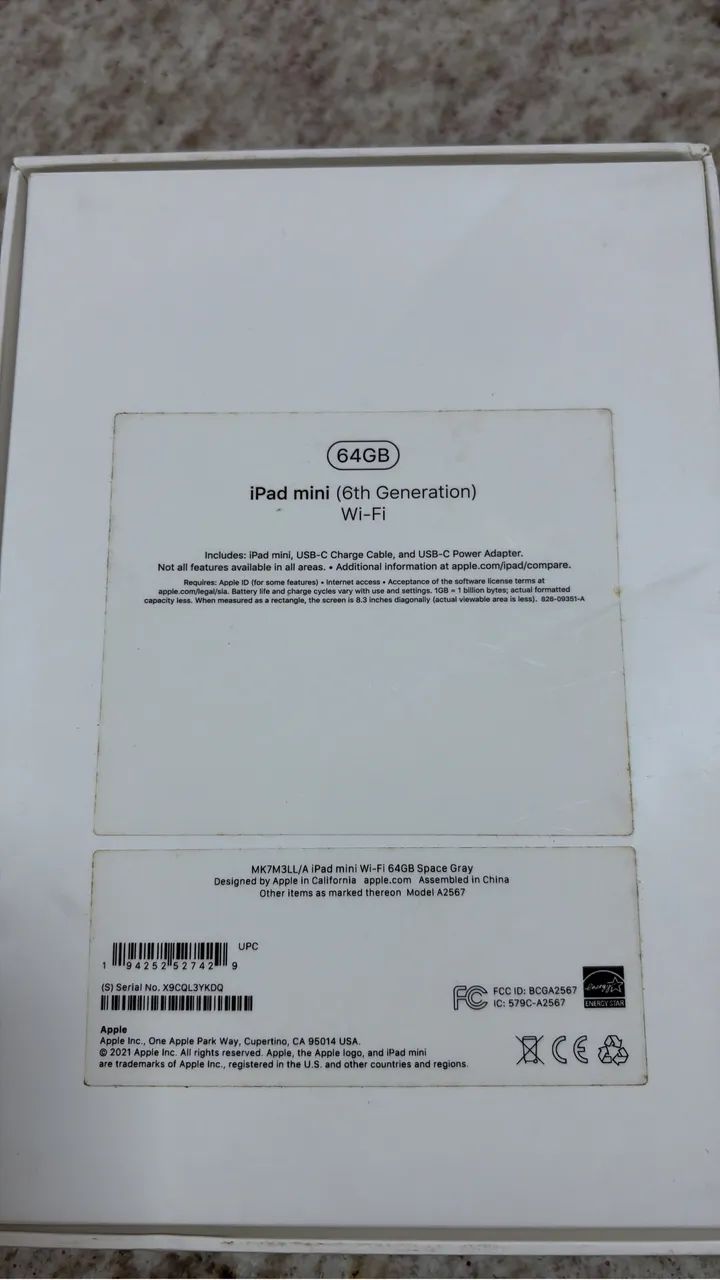 iPad mini 6 