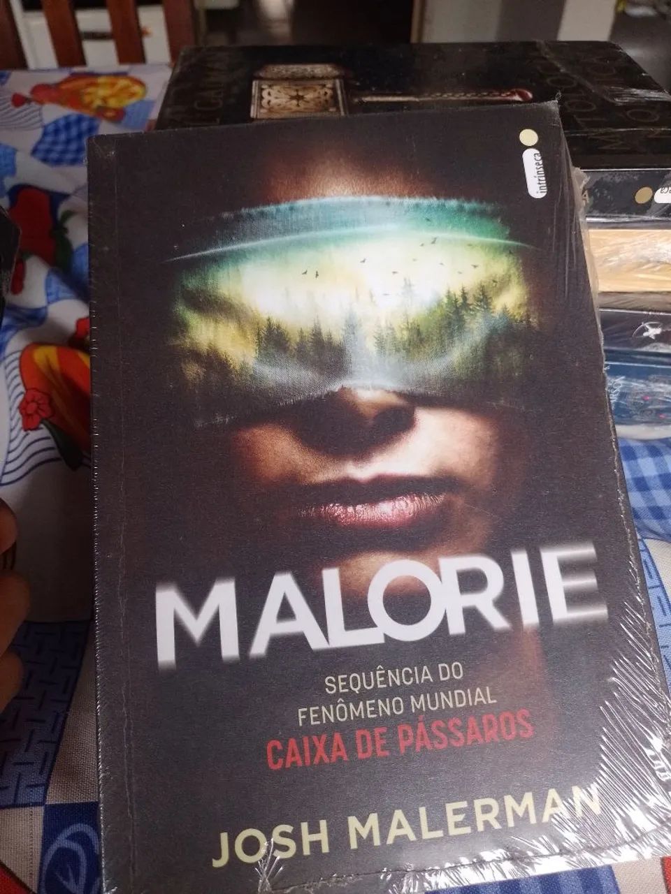 Livro Duologia Bird Box - Foto 2