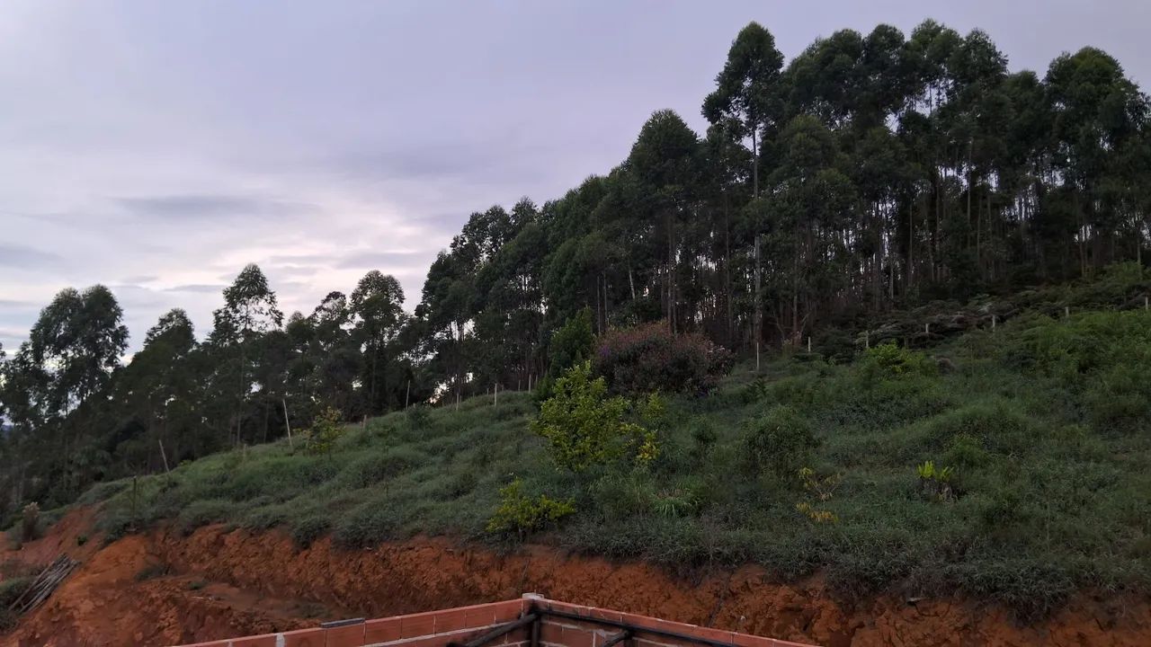 Chácara, sítio em santa maria de jetibá  - Foto 3
