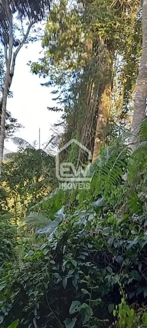 Área com Vegetação Nativa para Averbação de Compensação Ambiental - Foto 5