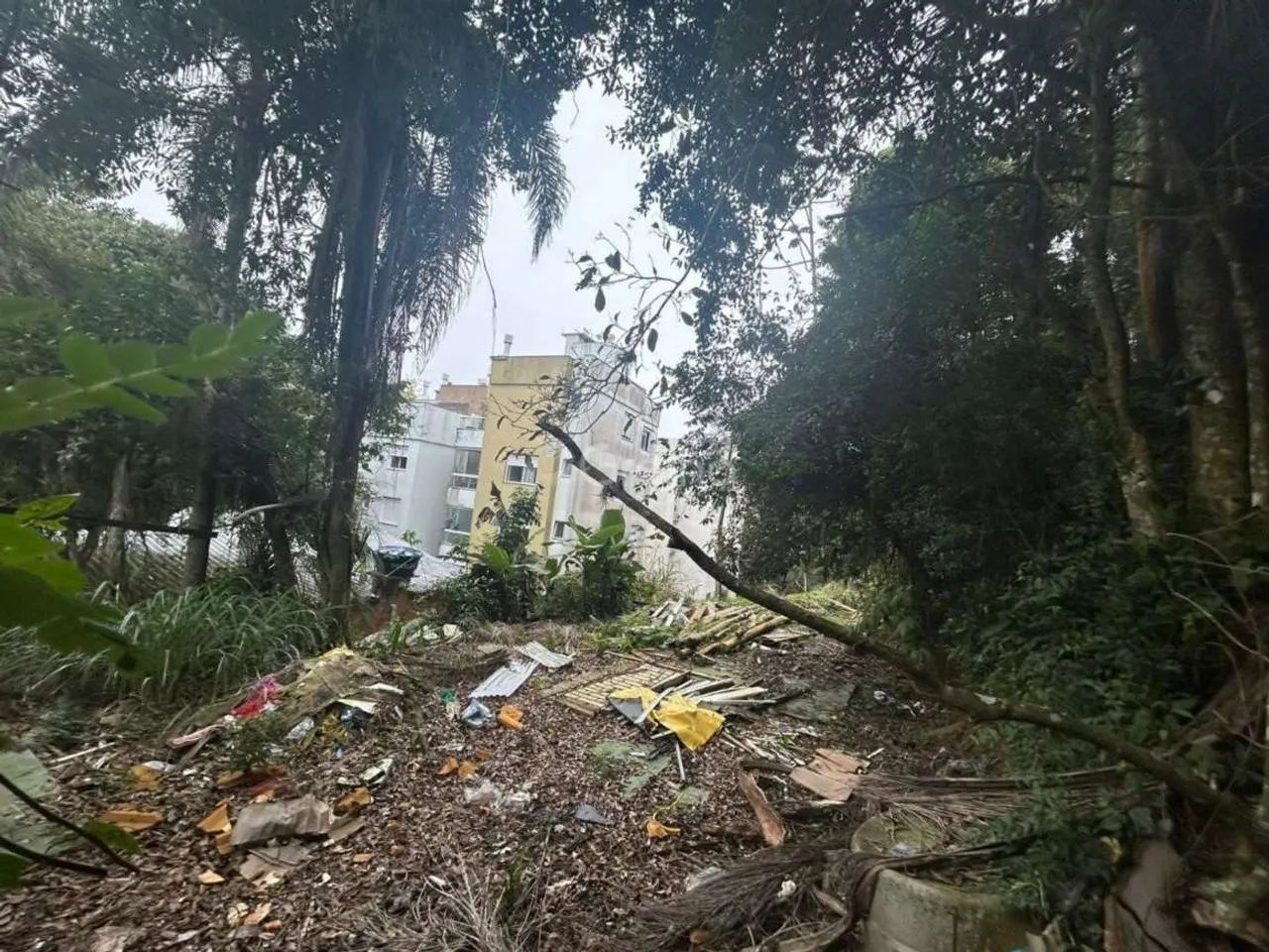 Terreno para Venda em Florianópolis, Coqueiros - Foto 5