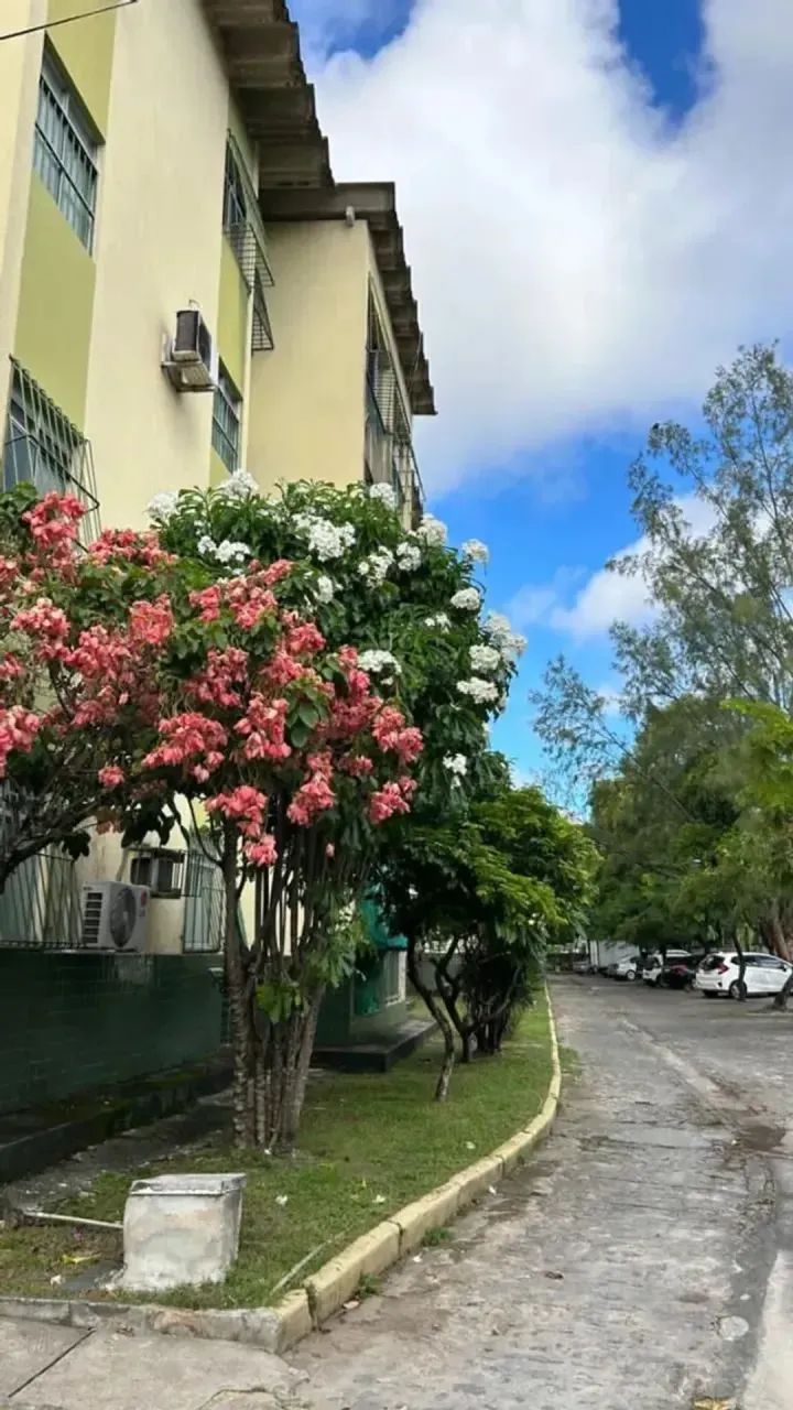 APARTAMENTO TAMARINEIRA NO VILA COIMBRA