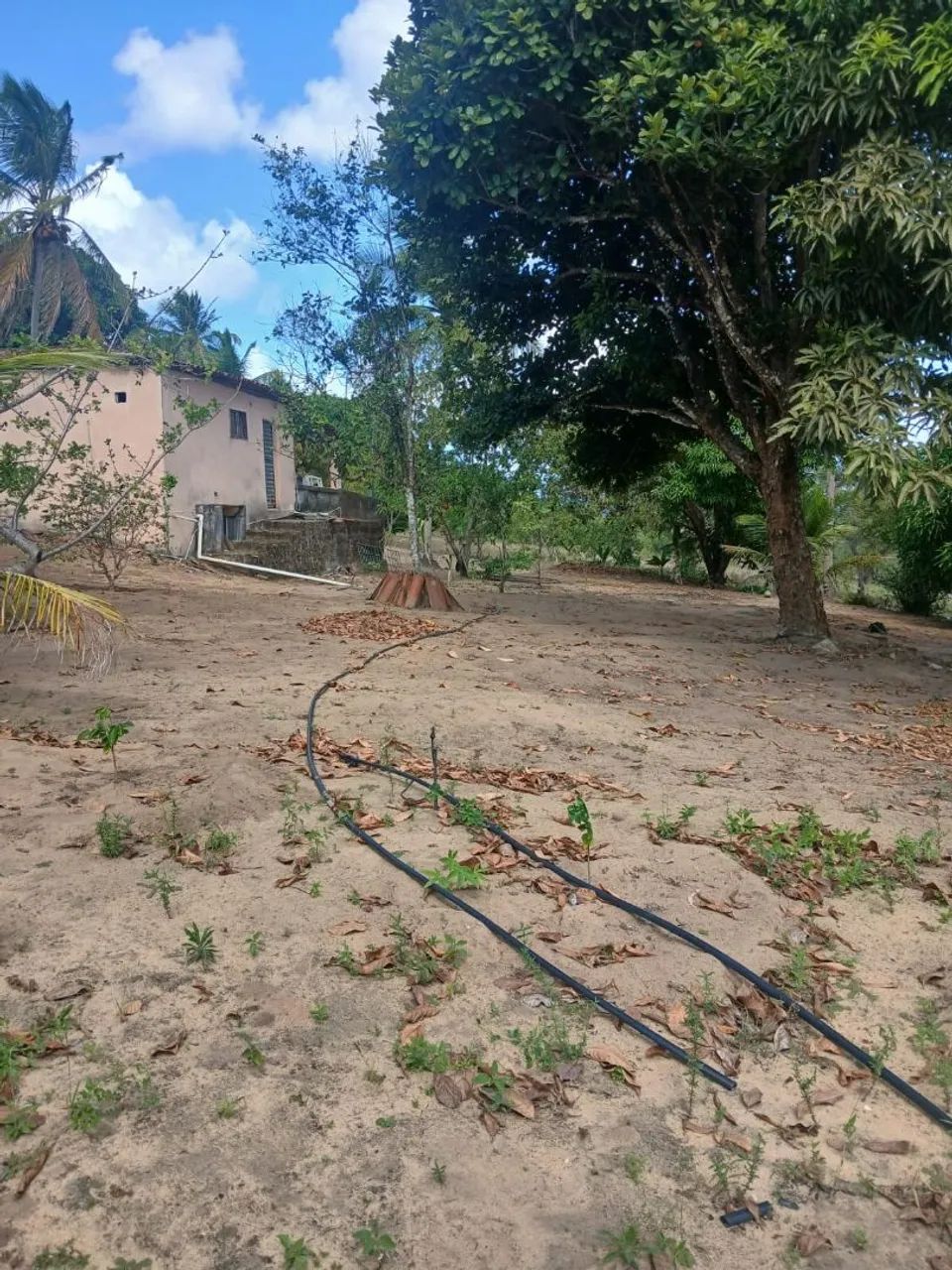 Terreno no conde - Foto 3
