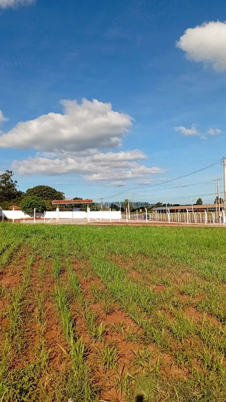 Aluga-se terreno em Sabáudia - Foto 5