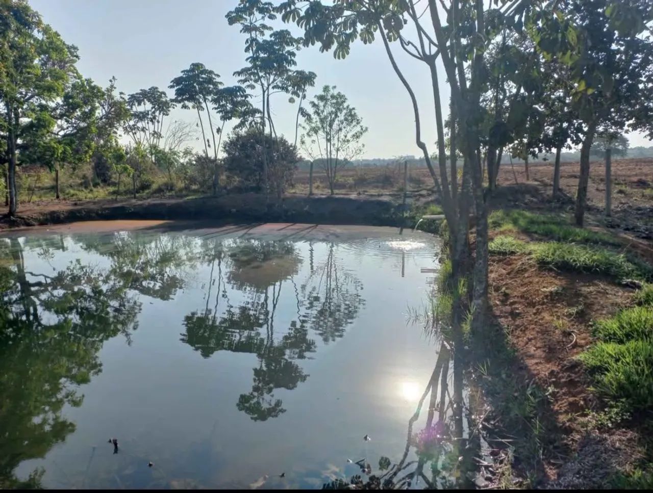 Fazenda na Transacreana - Foto 2
