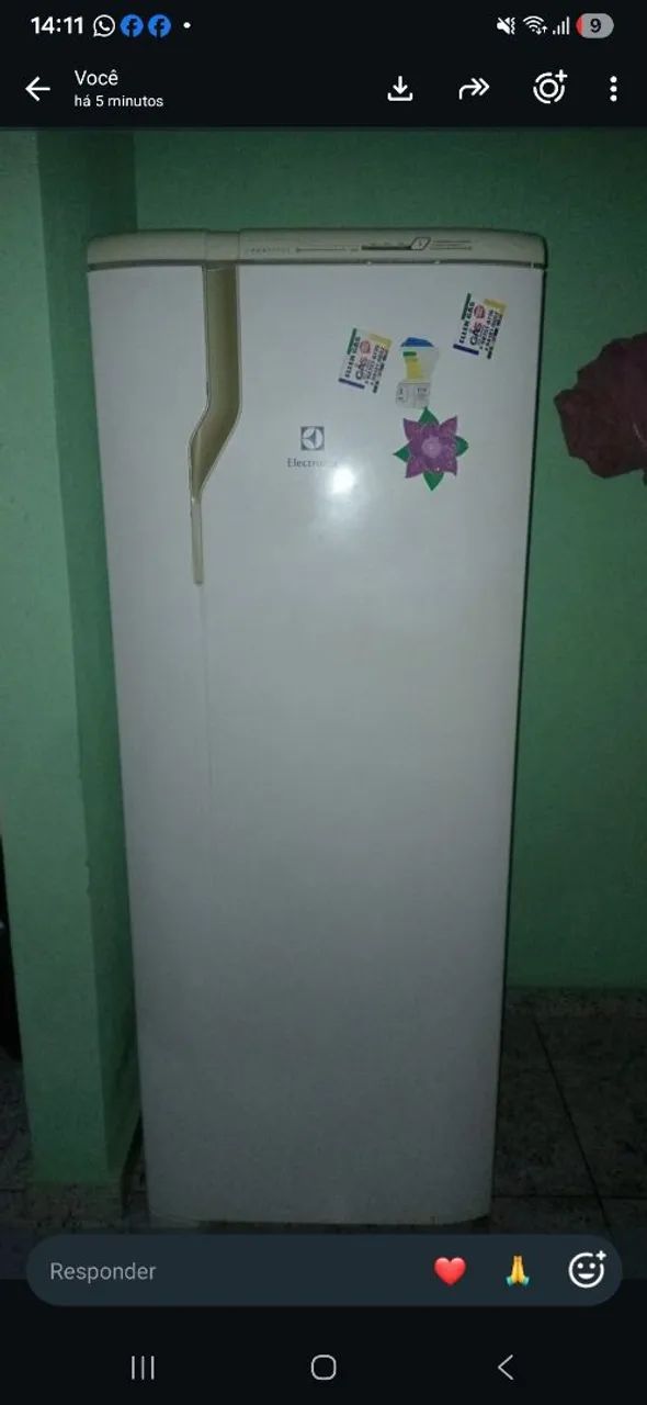 Sofa e geladeira 