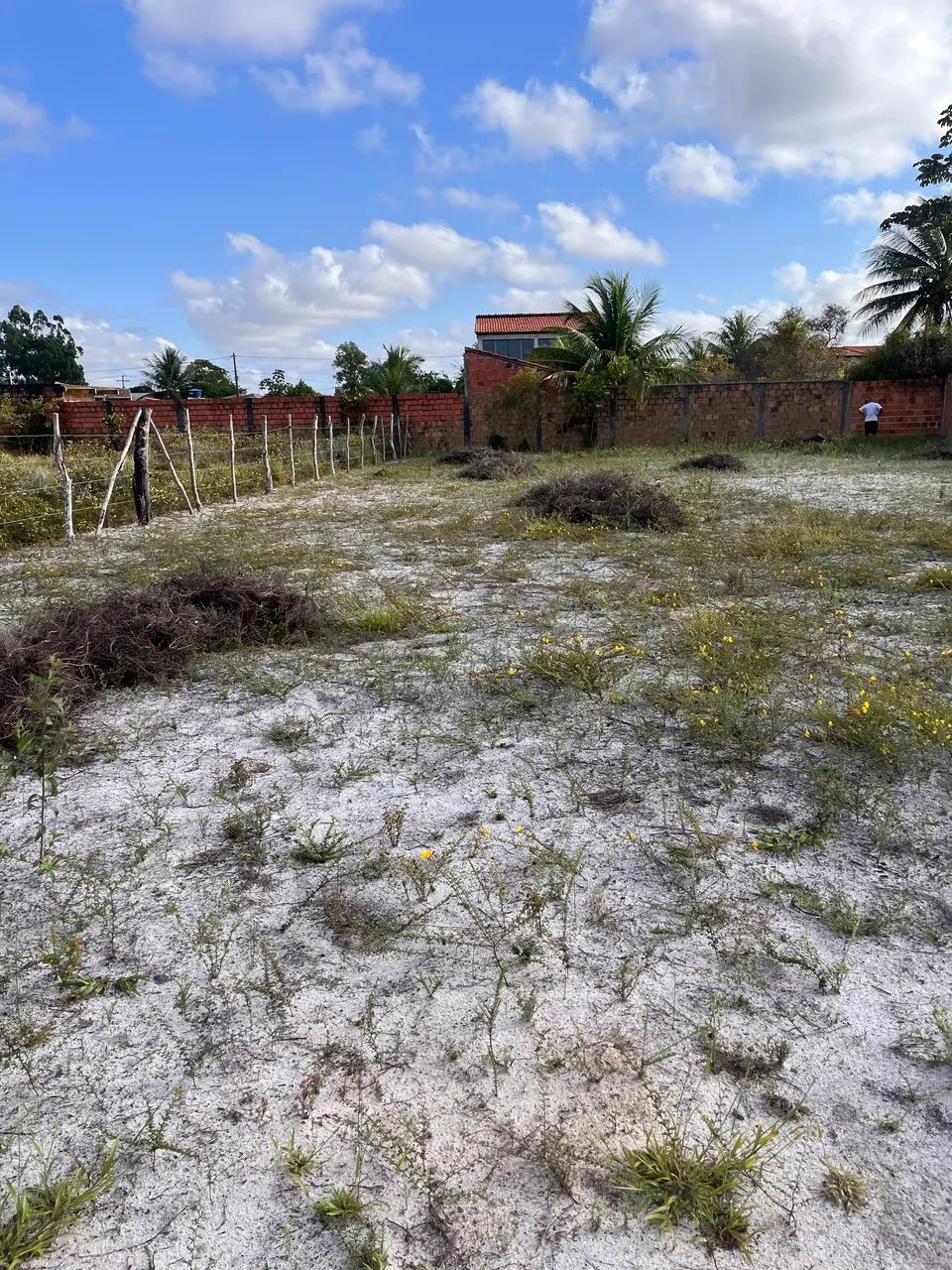 Vendo terreno em Barra de jacuipe  - Foto 5
