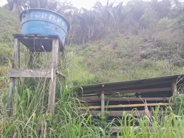 Sitio 10 mil metros com escritura 