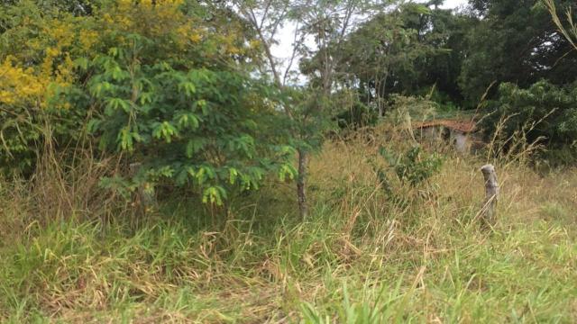 FAZENDA A VENDA EM MATO GROSSO (Dupla Aptidão) - Foto 19