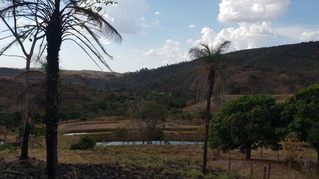Lindíssima Fazenda de 168 Hectares - Terra Engorda Boi e Criação de Peixes - Foto 14