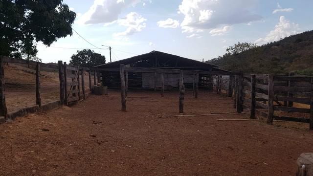 Lindíssima Fazenda de 168 Hectares - Terra Engorda Boi e Criação de Peixes - Foto 11