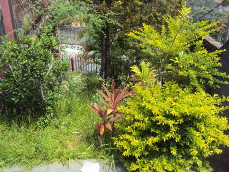 Casa à venda com 3 dormitórios em Caiçaras, Belo horizonte cod:1292 - Foto 8