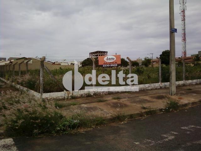 Terreno para alugar em Segismundo pereira, Uberlândia cod:221457