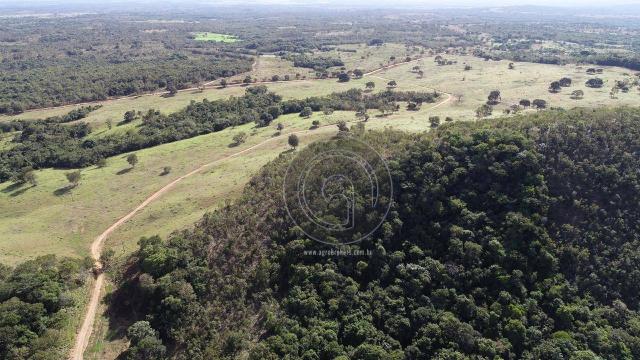 Fazenda 1.050ha região rosario oeste (cedral) - Foto 7