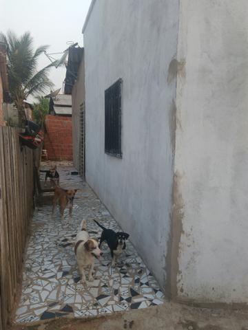 Fasso rolo em outra - Foto 3