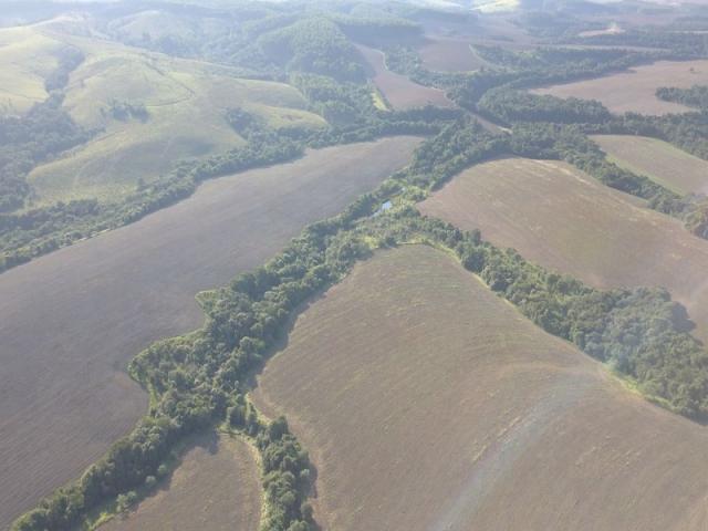 Vendo fazenda 350 alqueires em arapoti-pr - Foto 12