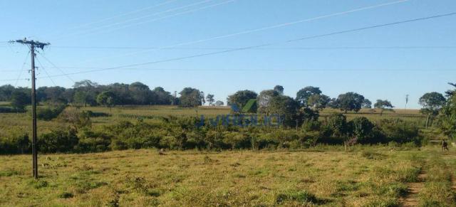 Área à venda, 290400 m² por R$ 1.200.000,00 - Zona Rural - Nazario/GO - Foto 2