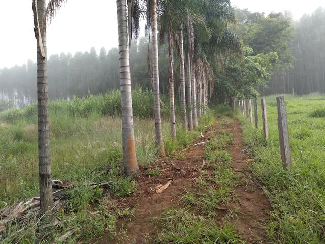Chácara de 20 mil metros 14 km de Anápolis, com represa no fundo - Foto 14