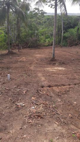 Lotes em Cruz de Rebouças - Igarassu - PE - Foto 3